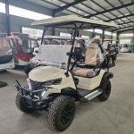 2+2 Seats Electric Golf Cart 4 Seater Home Luxury McPherson Suspension Factory