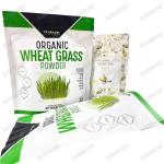 Eco Friendly Kraft Paper Bags Pla Material Zip Lock Bag With Logo Stand Up Pouch