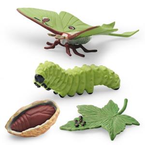 Wholesale Actias Ningpoana Life Cycle Figure Model Toy For Boys Girls Kids from china suppliers