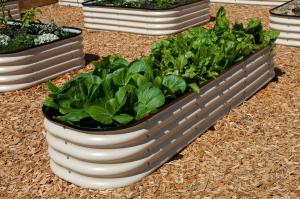 Wholesale 100x60x30cm Anti-Rusting Raised Metal Square Raised Garden Bed Kit from china suppliers