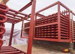 ASME Standard Carbon Steel Seamless Steel Superheater for CFB Boiler