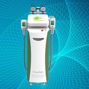 Wholesale Suppliers advanced Cryolipolysis Slimming Machine from china suppliers