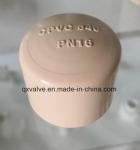 DIN Standard Pn16 CPVC Reducer Water Supply Type Customization for Round Head