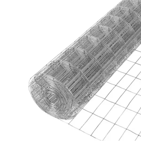 Manufacture Hot Dipped Galvanized Fencing Iron Netting for Rabbit Cages in