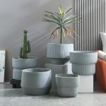 Smooth Surface Fiber Clay Planters In Outdoor Space