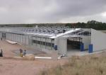 Durable Steel Poultry House Automatic Feeding System Feeding Pan Poultry