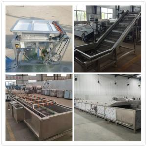 Wholesale frozen peas processing machine, quick-freezing peas making machines from china suppliers