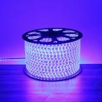 High Voltage Single Color Waterproof Led Strip Light 50M in Grey for Outdoor