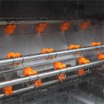 Poultry Plastic Chicken Crate Tray Pallet Cage Slat Washing Machine Commercial