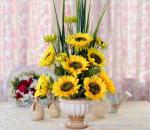 Potted Sunflower Arrangement for Sale
