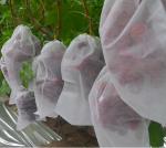 Tear Resistant PP Spunbond Nonwoven Fabric / Vegetable Garden Weed Control