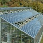 Building Materials Steel Structure Multi-Span Arch Type Photovoltaic Greenhouses