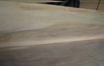 Natural Rotary Cut Birch Veneer Sheet , Yellow rotary cut plywood