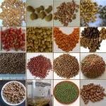 Extrusion Dry Pet Dog Food Making Machine Stainless Steel 201