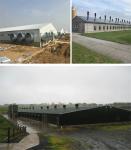 CE Livestock Farm House Steel Structure Chicken House And Equipment For Chicken
