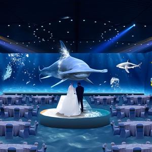 Wholesale Ar Interactive Immersive Experience Restaurant And Banquet Hall from china suppliers