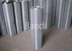 Wholesale Hot Dipped Galvanized 2 Inch Weld Mesh 13 Gauge from china suppliers