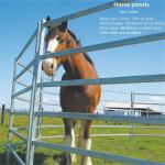 6 Foot Farm Cattle Crush Fence Cattle Handling Metal Animal Livestock Fence