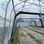 PE Film Poly Cover Single Span Light Deprivation Greenhouse Aluminum Zinc
