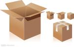 Alloy Aluminum XT-M Series Rotary Die -Cutting And Molding Carton Box Making