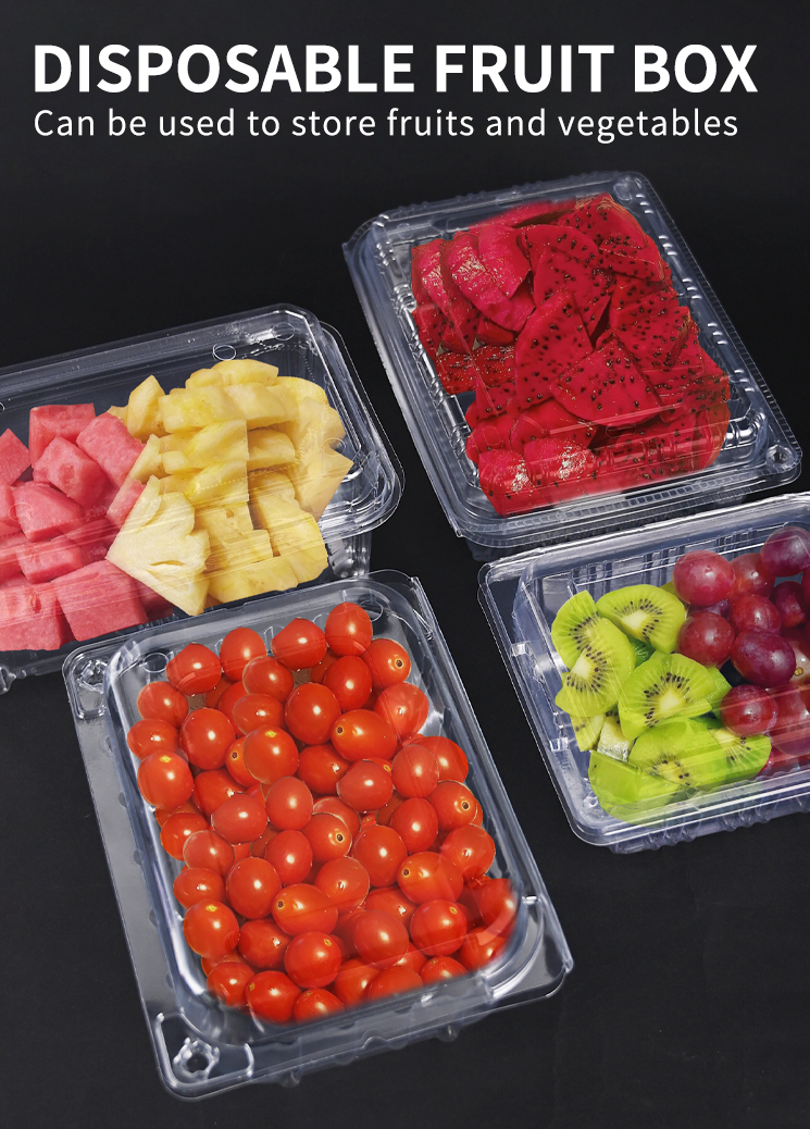 Food Grade Disposable Plastic Food Containers Recyclable Food Box For Cold Dishes