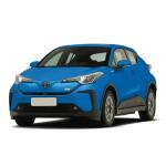 100% Electric Car 2023 2024 Sport Classic Four-Wheel 4X4 Passenger Long Mileage