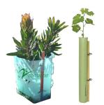 Corflute Plantra Tree Protectors PP Corrugated Tree Guard Tubes