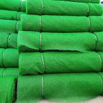Normal 50m Length Erosion Control Geosynthetics Plastic Netting for Customer