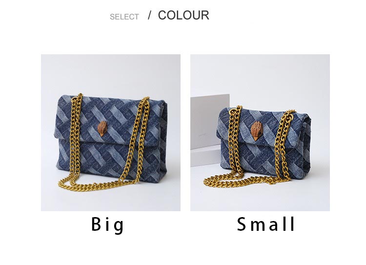 Canvas Fabric Square Crossbody Handbags Designer Eagle Head Messenger for Fashionable