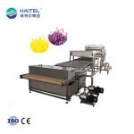 Popping Boba Making Mold Machine Automatic Candy Making Machine