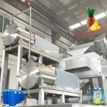 Customized Automatic Pineapple Processing Line 304 Stainless Steel 220 - 380V