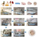 500 - 12000BPH Chicken Weight Grader Machine For Slaughterhouse Production