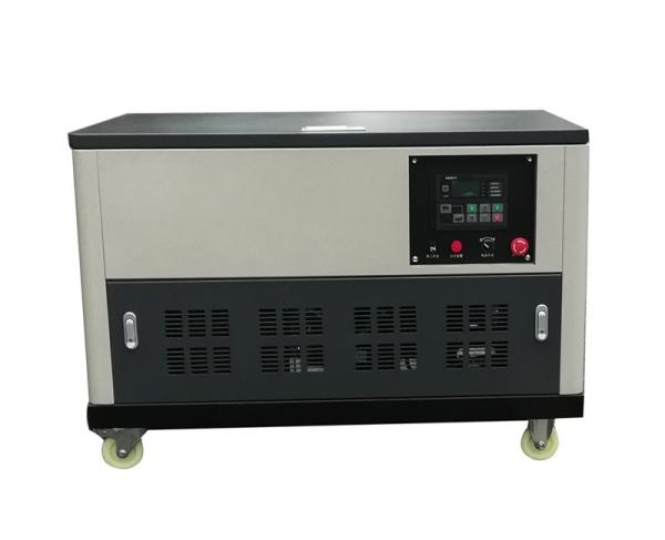 Electrogene Petrol Gas Powered Electric Generator Electric Start 20kva With