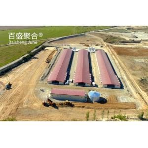 Wholesale High Tolerance A Type Layer Chicken Cage for 1000-10000 Laying Hens on Steel Farming from china suppliers