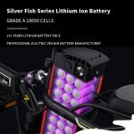 1000 Cycles Ebike Battery 10Ah Lithium Ion Ebike Battery Overdischarge