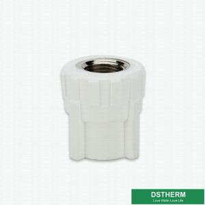 Wholesale Casting Technics White Ppr Pipe Accessories Female Threaded Coupling from china suppliers