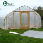 Single Span Greenhouse Mushroom Growing Equipment Covered with Transparent