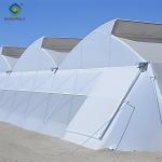 Simple Multi Span Commercial Gothic Type Greenhouse Wind Resistance