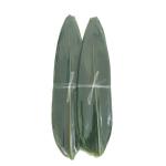 Big Size Food Safe Green Bamboo Leaf For Sushi / Zongzi
