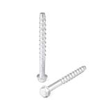 Stainless Steel M12 Concrete Screw Anchor Bolts for Light-Gauge Steel Wall
