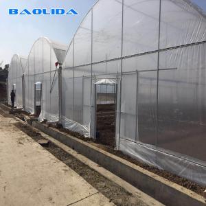 Wholesale Garden Commercial Multi Span Greenhouse For Vegetable Stable Performance from china suppliers