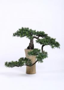 Wholesale H125cm Bonsai Pine Tree Curved Branch Stunning Wonderfully Crafted Without Pot from china suppliers