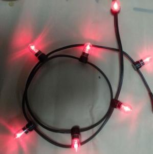 China 12v low power led clip light 100m/roll christmas lights led string Lights red rice strings 666 bulbs on sale