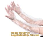 Biodegradable PE gloves Medical PE gloves disposable PE glove,Eco Friendly