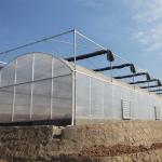 Modern Farming Agricultural Poly Tunnel Plastic Film Tomato Greenhouses