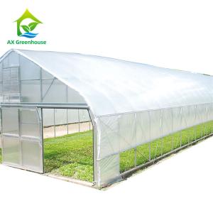 Wholesale 26ft Width Single Span Pipe Framed Greenhouse Anti UV Film High Tunnel Greenhouse from china suppliers