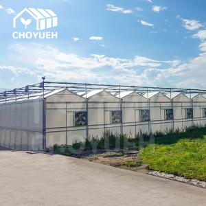 Wholesale Wind Resistance Multi Span Film Greenhouse With Ventilation System from china suppliers