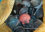 Professional Deep Sea Aquaculture Fishing Net Making Machine