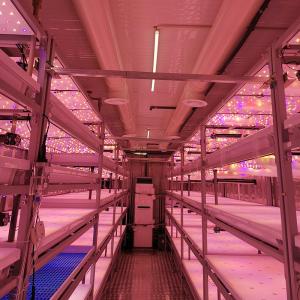Wholesale OEM 110V Solar Powered Hydroponic Grow Containers For Brassicas from china suppliers