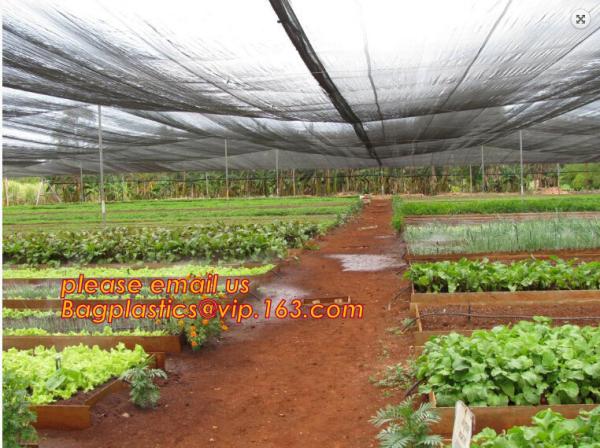 30 mesh anti insect farm nets for greenhouse,100% pe transparent color